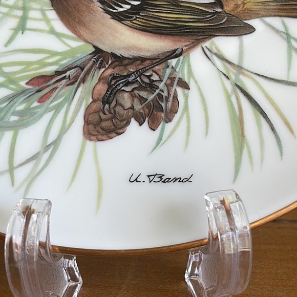 ALT | Vtg Finecrest Collectors Plate European Songbird Series Germany 1986 - Picture 6 of 6